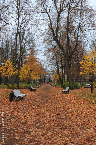 park alley with white benches strewn with autumn leaves