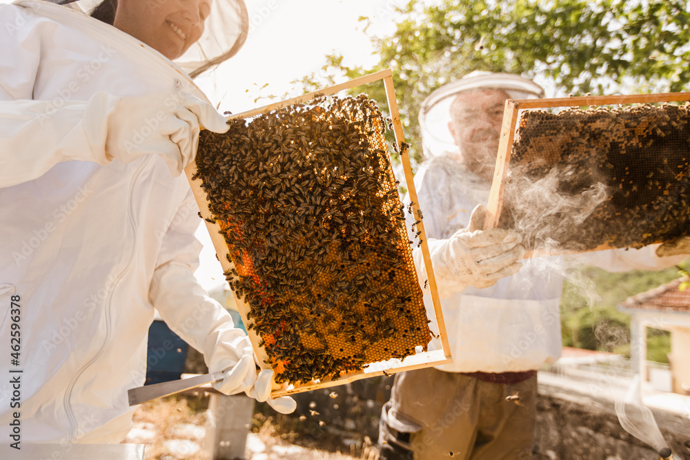 Beekeepers on apiary. Beekeepers are working with bees and beehives on the apiary. Beekeepers on apiary. Beekeepers are working with bees and beehives on the apiary.
