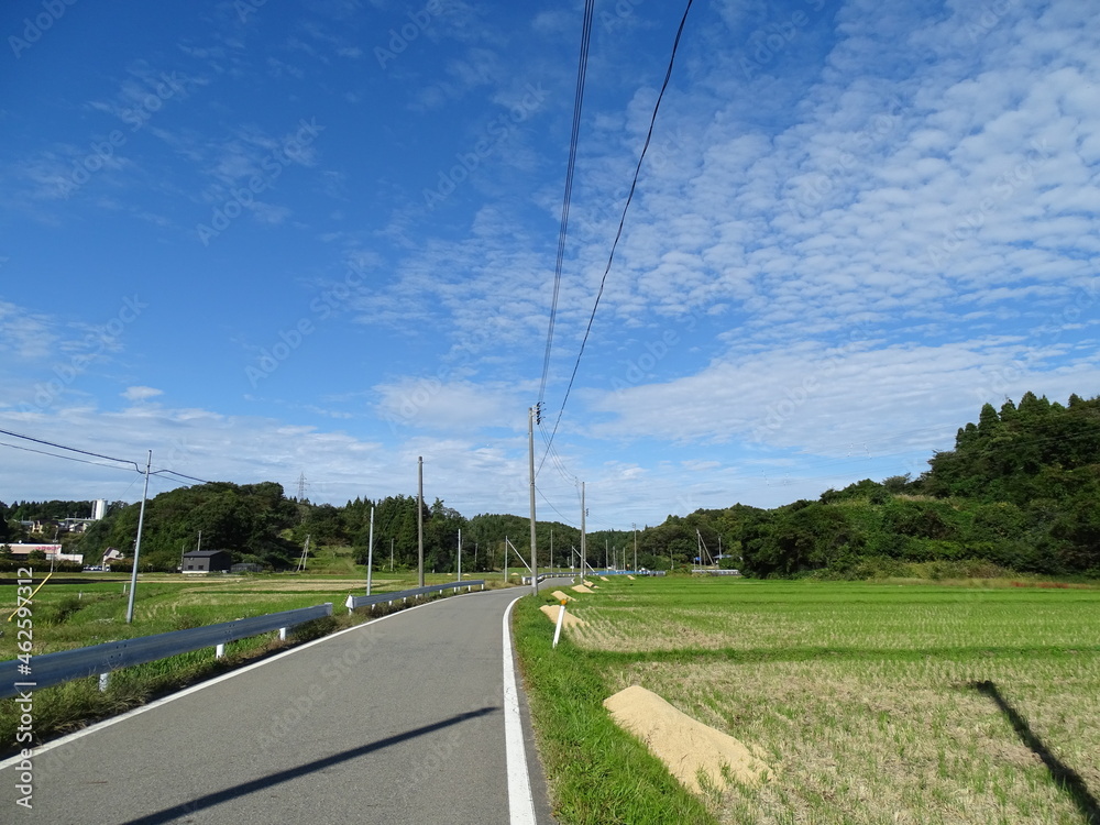 Naklejka premium 秋の農村風景
