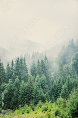 autumn overcast carpathian mountains