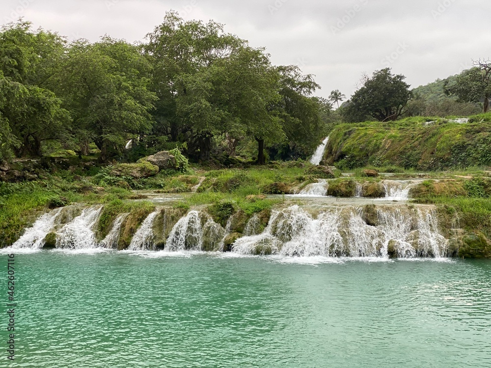Fototapeta premium Nature View Mountain Salalah Oman Green Trees Beach Fog 