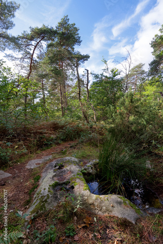 Recloses, path of the crests in fontainebleau forest