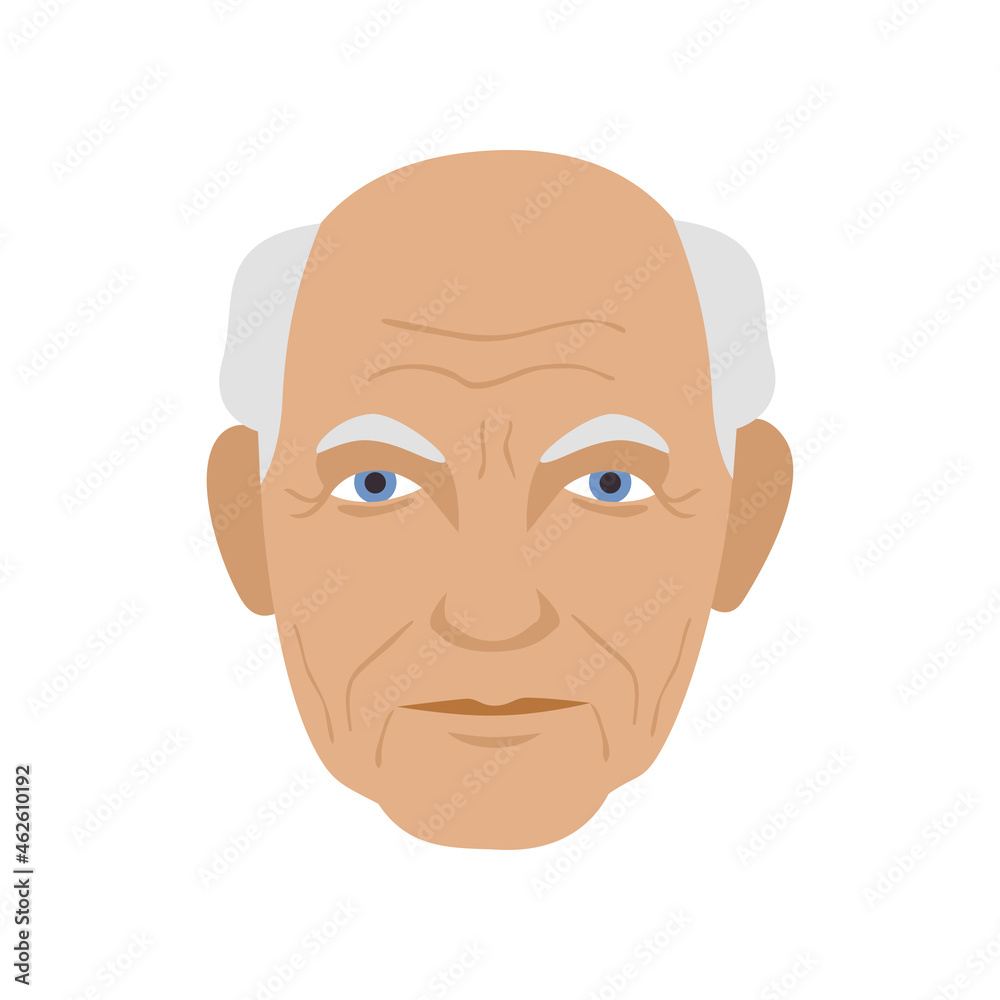 elrderly grandpa gray bald head face avatar icon flat vector