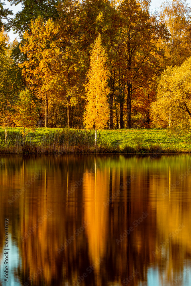 Fototapeta premium Colorful autumn foliage casts its reflection on the lake water
