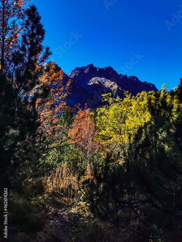 Autumn in Tatra Mountains  Zlomisk s valley