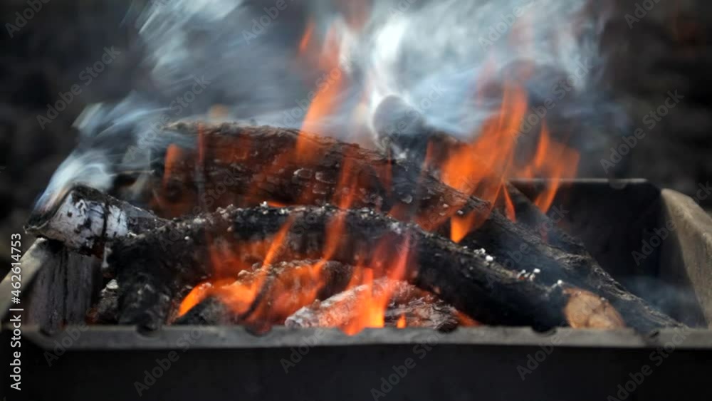 firewood is burning from fruit and berry trees in the grill for cooking barbecue firewood is burning from fruit and berry trees in the grill for cooking barbecue