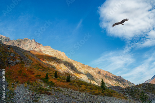 Multicolor autumn landscape with sunny mountain with orange tint. Spectacular colorful view to sharp mountain ridge in fall. Motley mountain scenery in autumn colors.