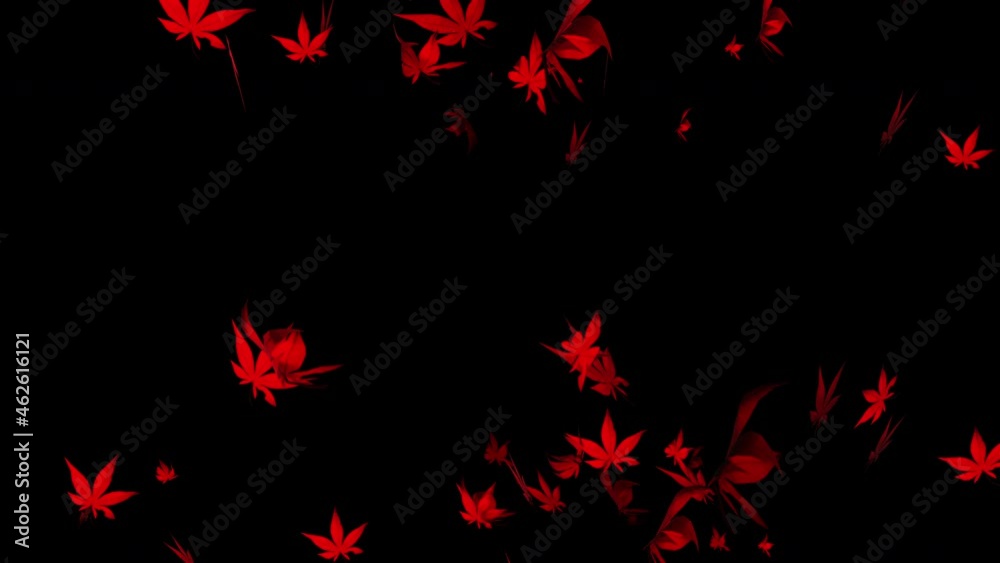 Autumn maple leaves particle loop animation Autumn maple leaves particle loop animation