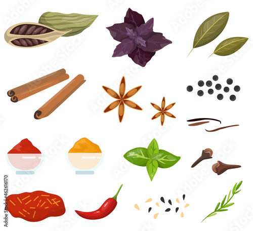 Spice for cooking delicious food collection. Herbs with good smell.