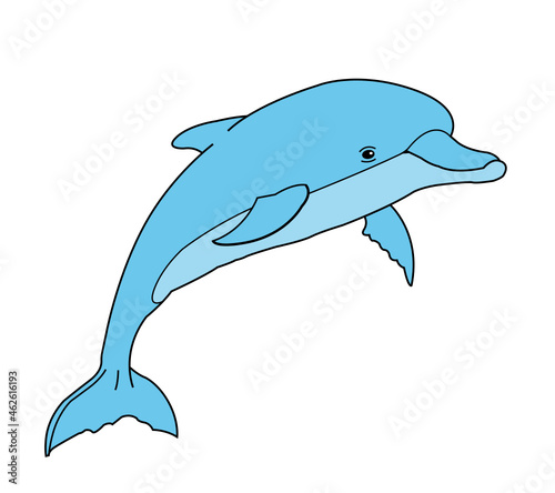 delfin dibujo con colores vector