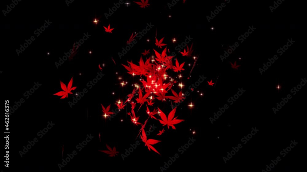 Autumn maple leaves particle loop animation Autumn maple leaves particle loop animation