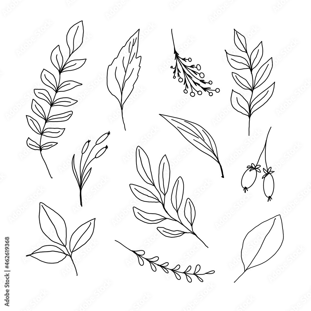 Set of branches and leaves isolated. Black and white, Sketch style Set of branches and leaves isolated. Black and white, Sketch style