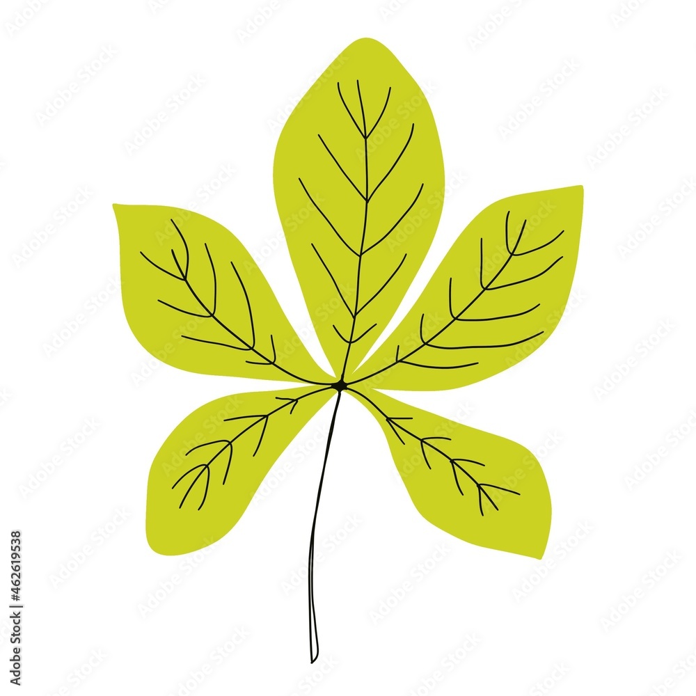 Tree chestnut leaf. Isolated hand drawn illustration. White background Tree chestnut leaf. Isolated hand drawn illustration. White background