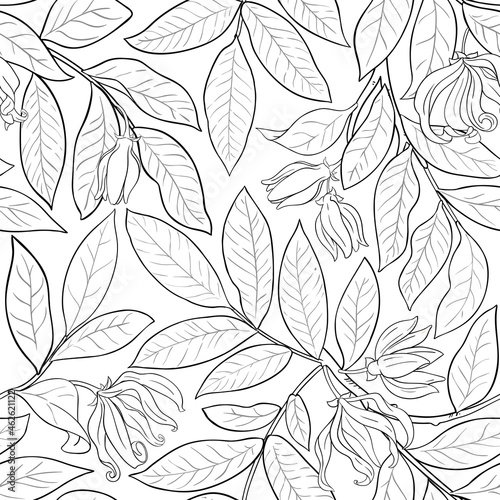 ylang ylang pattern on white background
