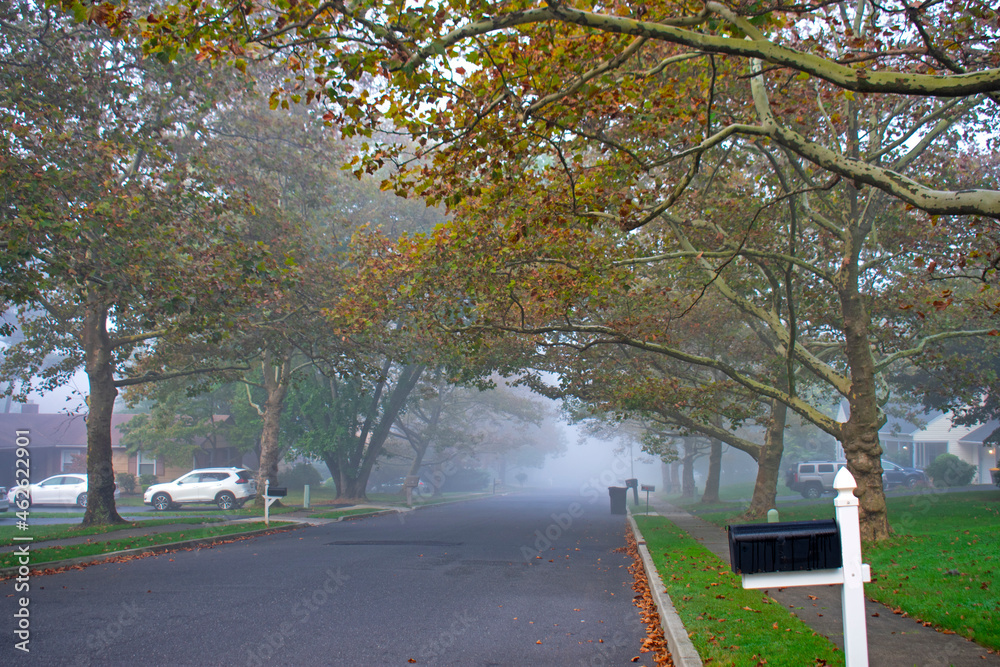 Early morning fog envelopes a suburban area in Old Bridge, New Jersey, in early autumn -01