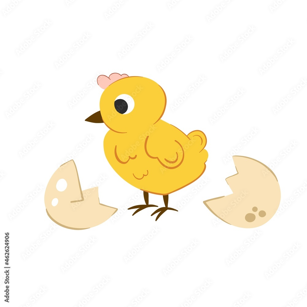 Cute little chick vector illustration for easter design. Newborn yellow cute chicken hatched from egg on white Cute little chick vector illustration for easter design. Newborn yellow cute chicken hatched from egg on white