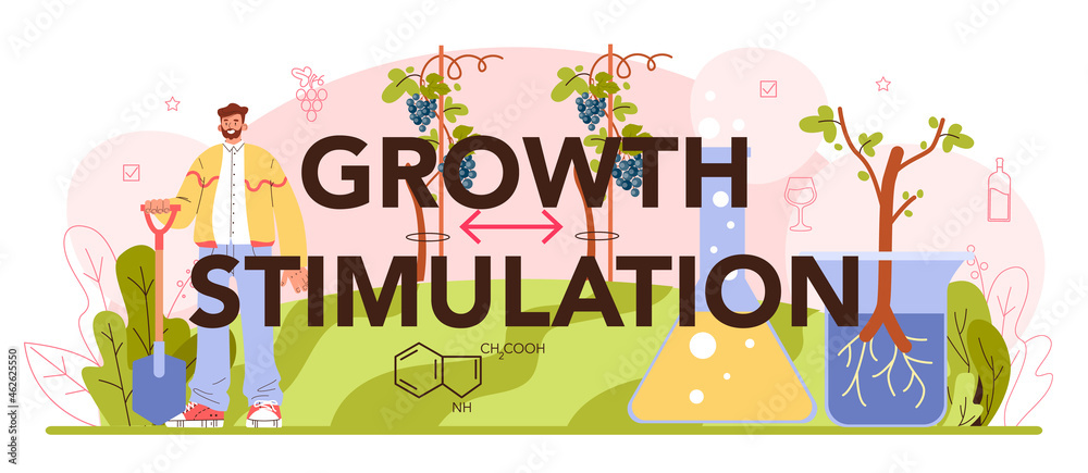 Growth stimulation typographic header. Wine production. Grape selection