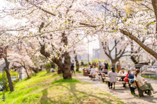 桜が満開の外堀公園の風景・ベンチでお花見する人々（東京都千代田区・2021年3月）