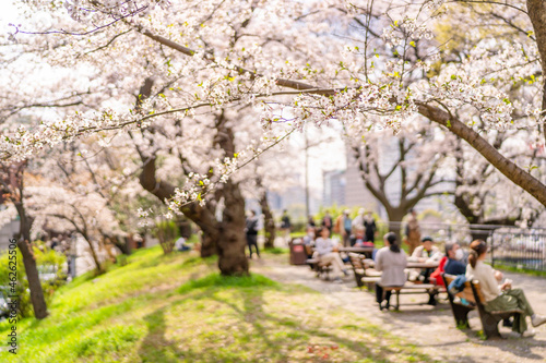 Konstfotografi 桜が満開の外堀公園の風景・ベンチでお花見する人々（東京都千代田区・2021年3月）