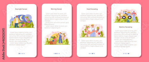 Wine production mobile application banner set. Grape selection