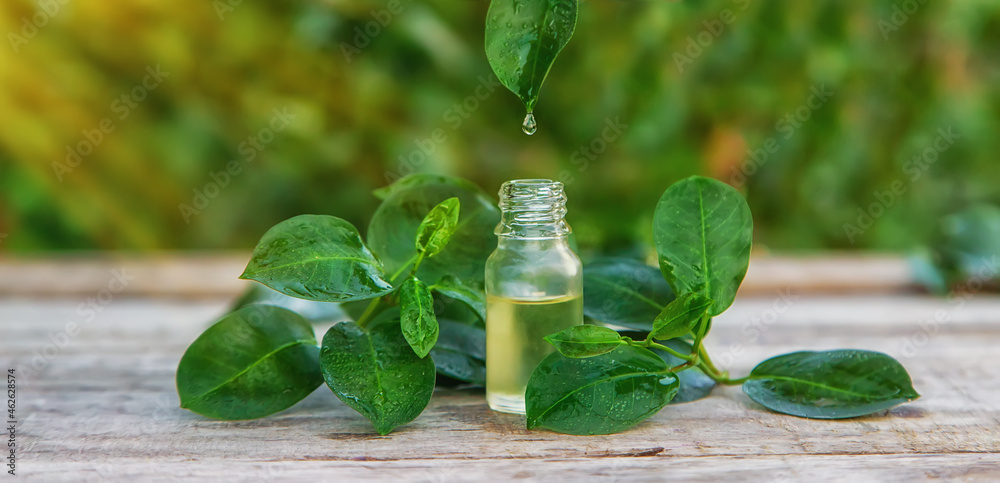 Photography Bottled tea tree essential oil. Selective focus.