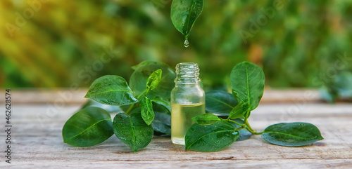 Bottled tea tree essential oil. Selective focus.