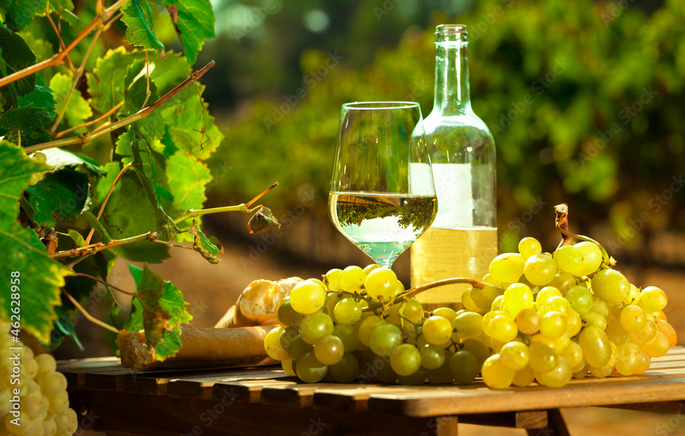 still life with glass of White wine grapes and bread on table in field
