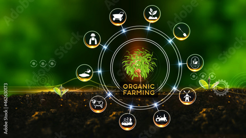 Organic Farming Concept.
Green environment with Center and spoke Concept ,Plant on center and rotating Icons