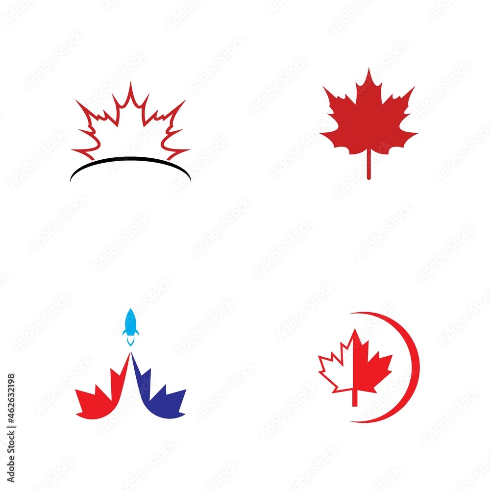 Maple leaf vector illustration