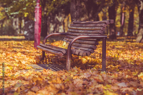 Autumn background-bench in the city Park 