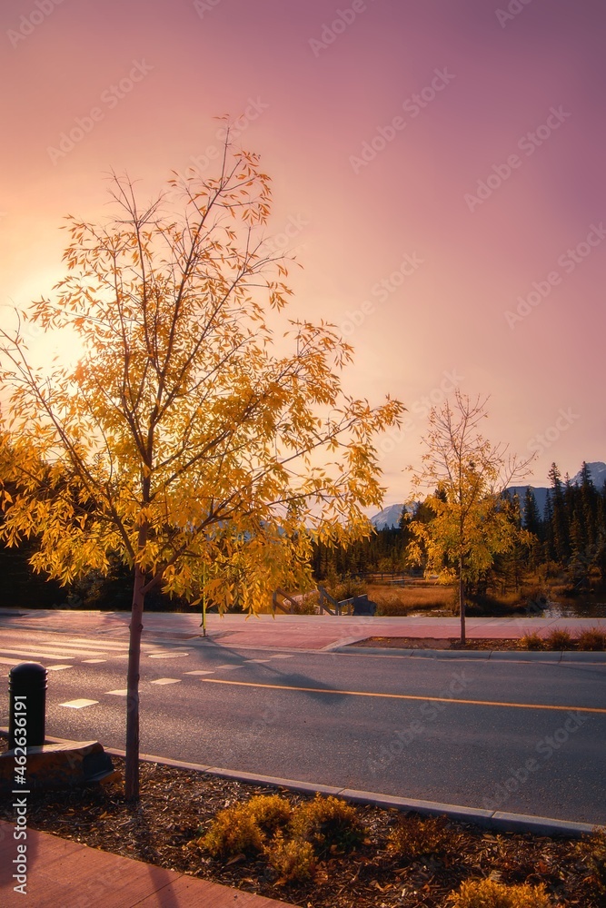 Fall Sunrise On Canmore Streets