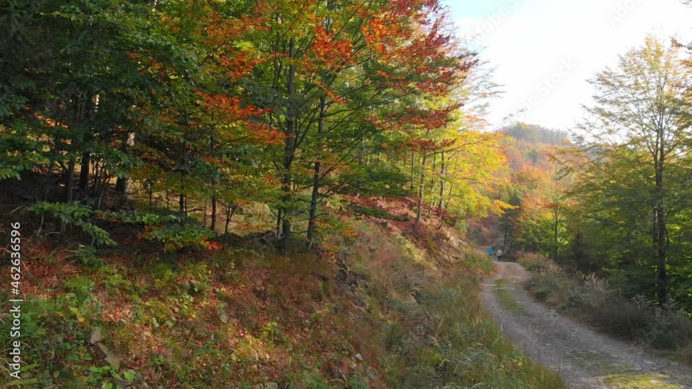 Walk in autumn forest Walk in autumn forest