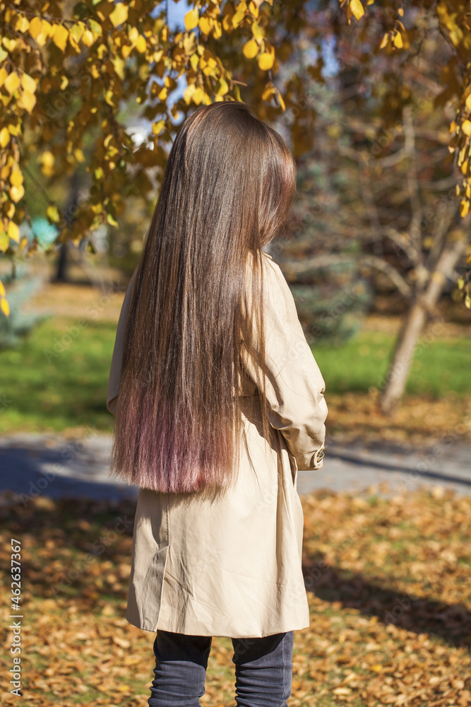 Back rear view brunette hair model Back rear view brunette hair model