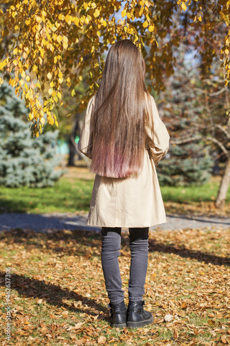 Brunette female hair back view - against the background of an autumn park