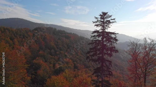 Auitumn in beskid mountains
