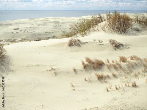 Fototapeta Naklejka Na Ścianę i Meble -  Sand dunes of the Curonian Spit 