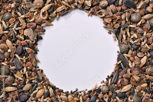 circle of wildflower seeds