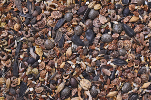 wildflower seeds background