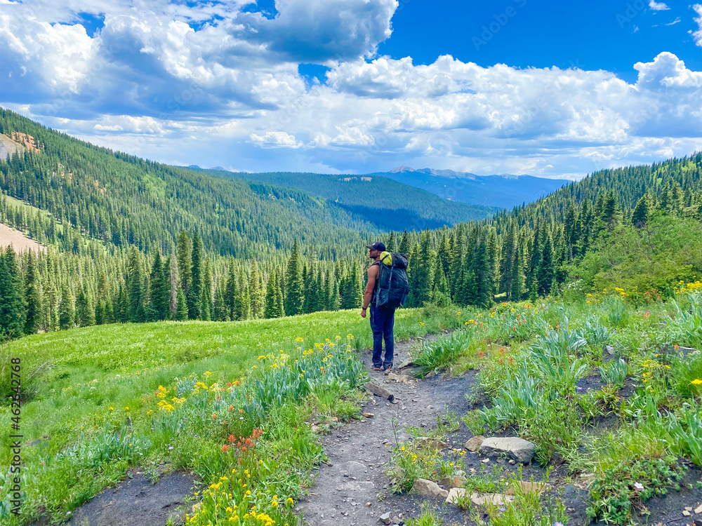 Fototapeta premium Backing Colorado