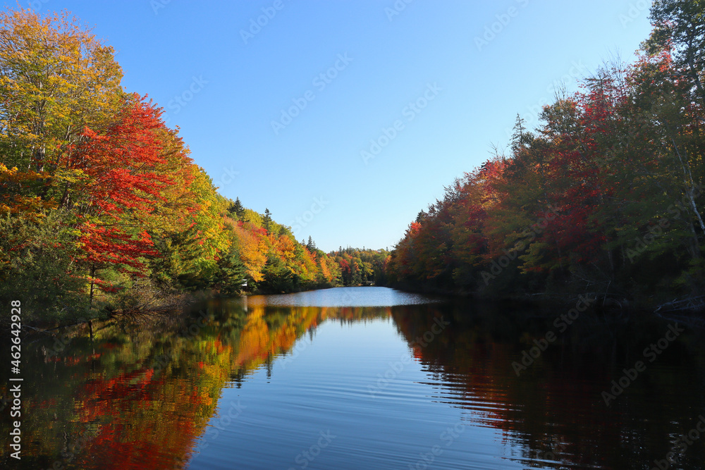 Fototapeta premium autumn in the park
