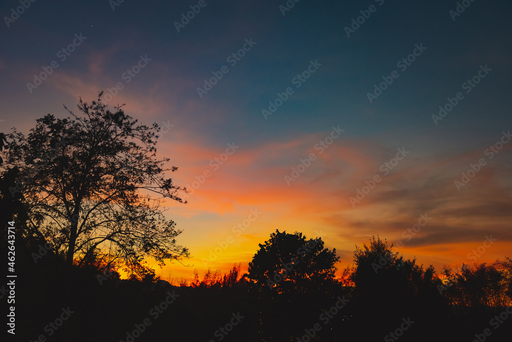 Fototapeta premium Autumn forest with the mountain. Colorful forest with sun light and orange trees. Scenery of nature with sunlight as a concept 