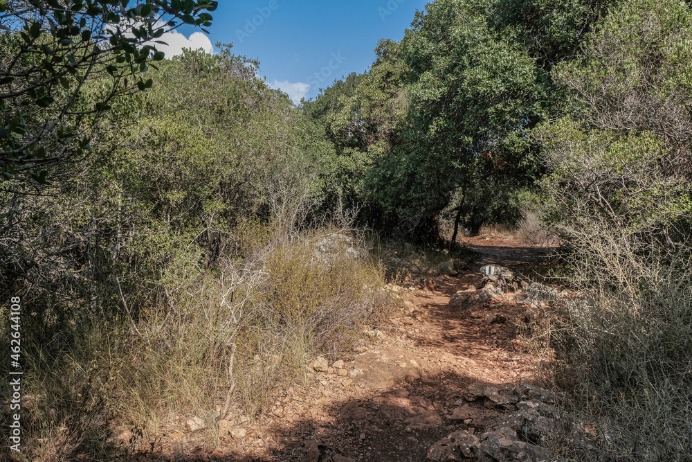 Hiking on the scenic high trail to Ein Tamir Spring in Nahal Kziv, Montfort, and Nahal Kziv National park, Western Galilee, Northern District of Israel, Israel.  