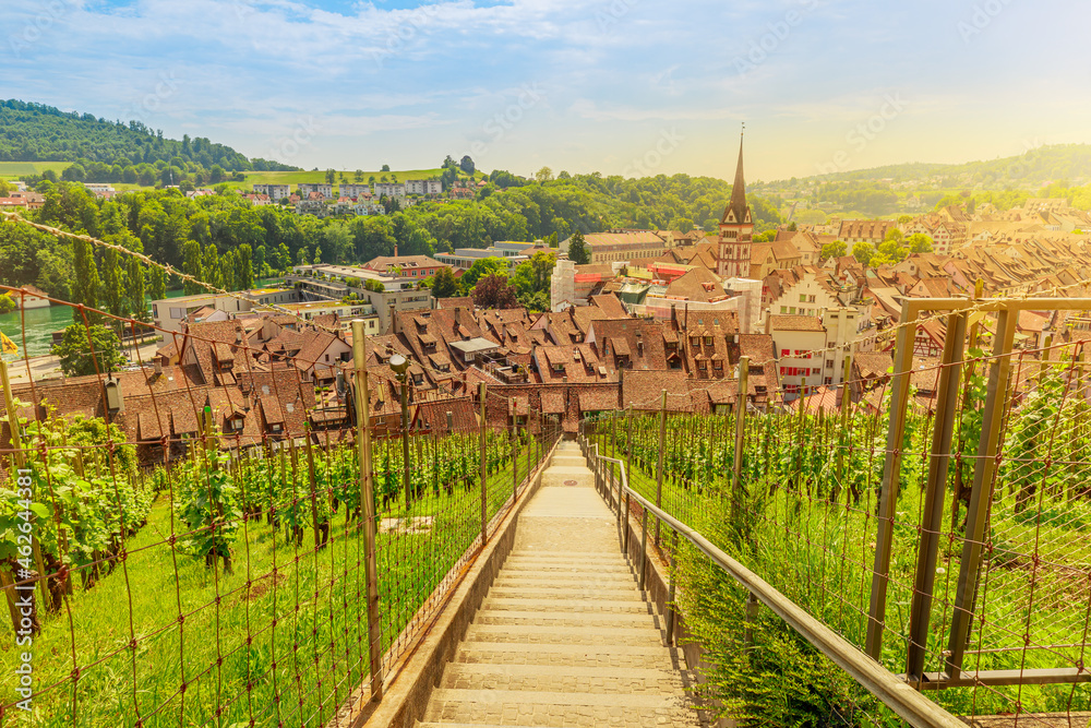 Naklejka premium Schaffhausen Vineyards, by Bodensee lake. Terraced vineyards on Munot fortress in Switzerland. Wine region in Schaffhausen fortified town on the Upper Rhine river. Schaffhausen Canton Switzerland.