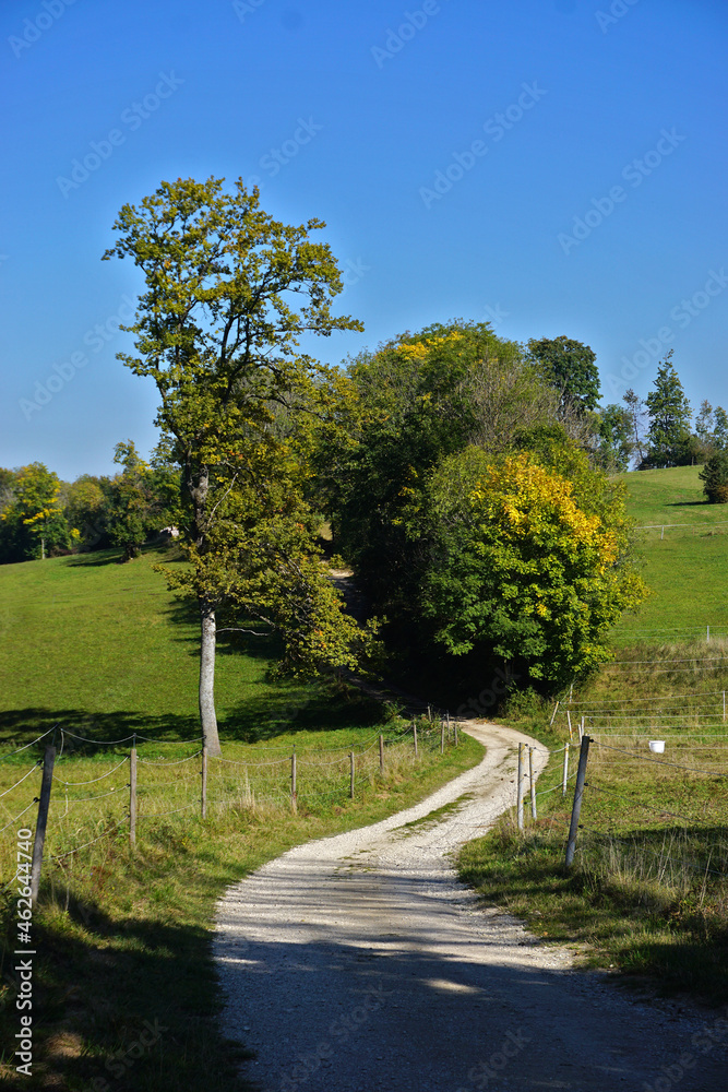 Feldweg in herbstlicher Landschaft auf der Schwäbischen Alb, country lane in autumnal landscape on the Swabian Alb