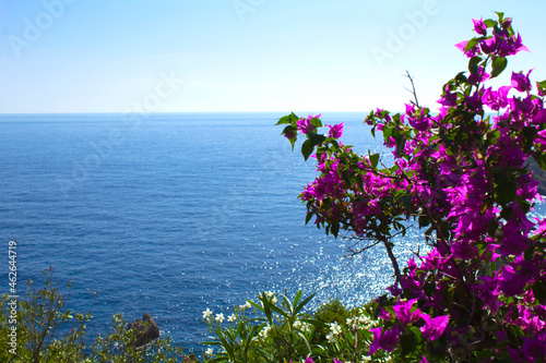 Panoramic view of the island, sea and pink flower on the sunny day. Corfu. Greece.