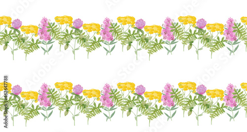 Field  medicinal herbs. watercolor illustration. Clover. Tansy. Blooming Sally.