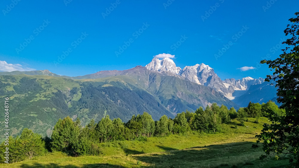 Early morning in a lush pasture with a view on the first sunbeams reaching the peaks of Ushba in Caucasus, Georgia. Cloudless sky above the high and snow-capped mountains. Daybreak