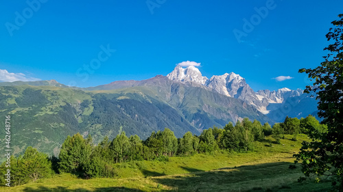 Early morning in a lush pasture with a view on the first sunbeams reaching the peaks of Ushba in Caucasus, Georgia. Cloudless sky above the high and snow-capped mountains. Daybreak photo