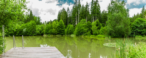 Badesteg an einem Waldsee