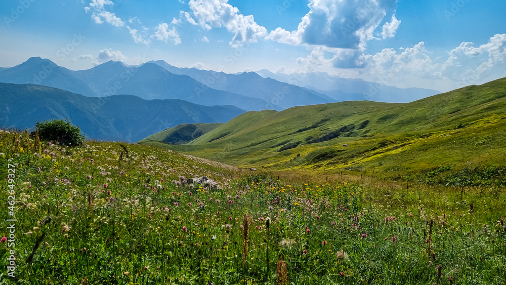 A panoramic view on high Caucasus mountains in Georgia. There are high, snowcapped peaks in the back. Lush pasture in front. Idyllic landscape. Calmness and meditation. Natural remedy